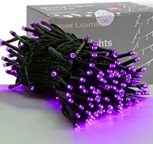 HOME LIGHTING 66ft Halloween Decorative Mini Lights, 200 LED Green Wire Fairy Starry String Lights Plug in, 8 Lighting Modes, for Indoor Outdoor Xmas Tree Wedding Party Decoration (Purple) - Purple