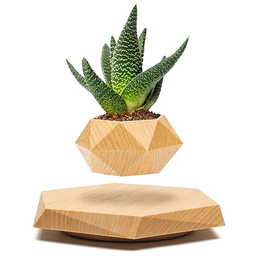 BandDlevs Levitating Plant Pot - Floating Plant Pot for Small Plants. Levitating Decor for Home & Office Magnetic Floating Levitating Display (Wood)