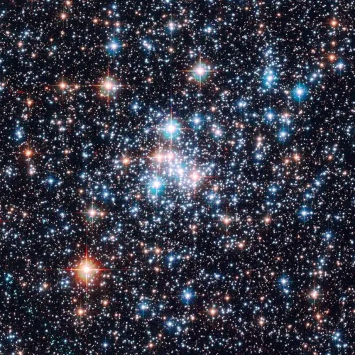Star Reading 