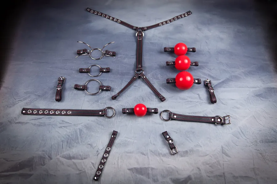 Convertible Ball Gag Harness