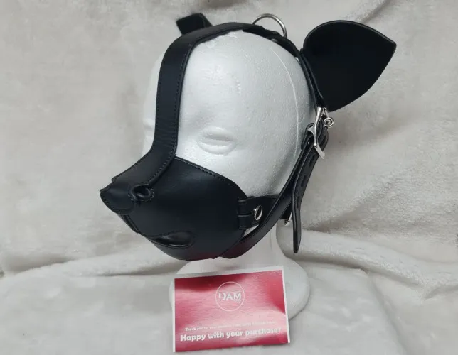 Puppy Mask | Dotty After Midnight