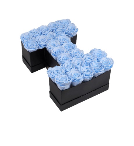 Le Grand Letter - I | I / Baby Blue