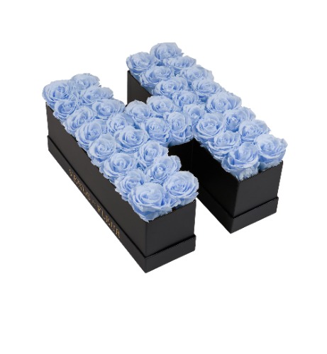 Le Grand Letter - H | H / Baby Blue