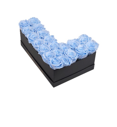 Le Grand Letter - L | L / Baby Blue