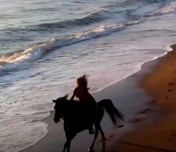 Beach horse ride 