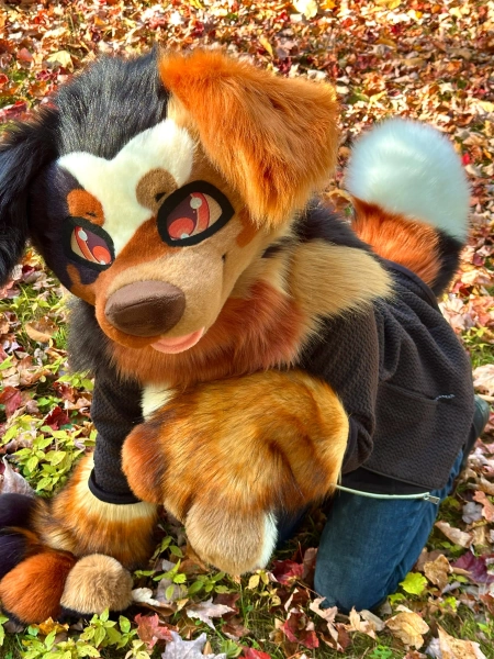 Mainstreet the Mutt - NEW Fursuit Partial Ready to Ship and Wear - Artist Designed Premade - Head Plush Tail Handpaws