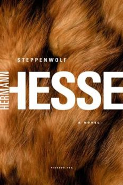 Steppenwolf book by Hermann Hesse