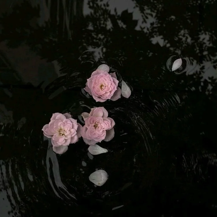 ⋆. 𐙚 ˚ flowers (40)