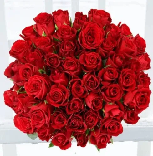 Luxury roses 