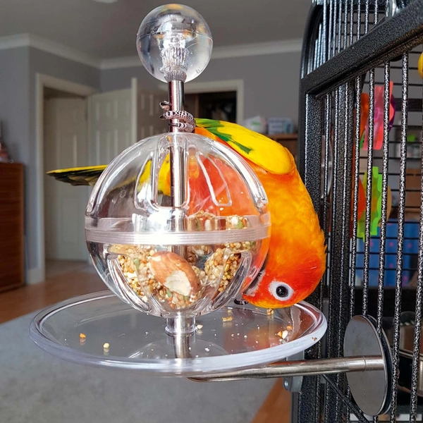 Buffet Ball with Cage Mount - Tough Foraging Parrot Toy