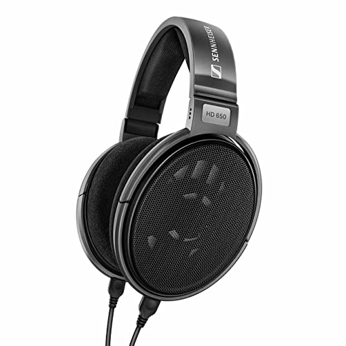 Sennheiser Consumer Audio HD 650 - Audiophile Hi-Res Open Back Dynamic Headphone, Titan - HD 650