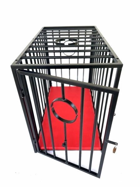 Bad Birds BDSM Cage - Etsy