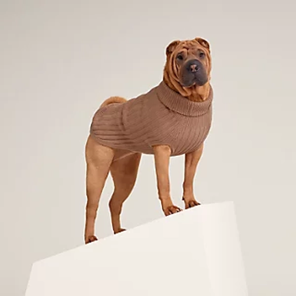 Dog pullover