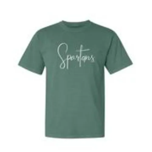 MSU T-shirt