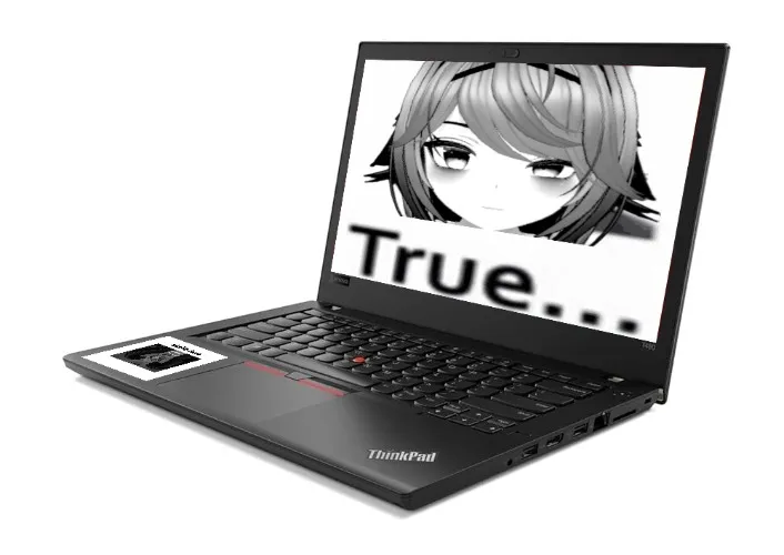 Thinkpad T480