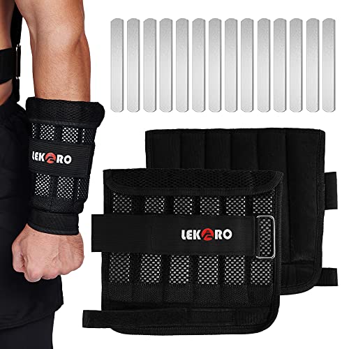 6LB Arm Weights