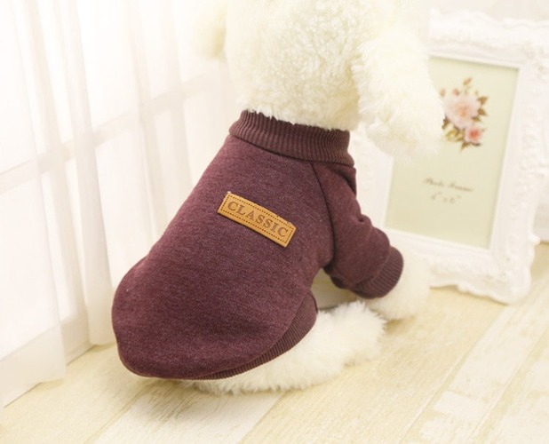 Dog Classic Winter Sweater - Brown / L