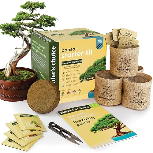 Bonsai Starter Kit - Gardening Easter Gift for Women & Men - Bonsai Tree Growing Garden Crafts Hobby Kits for Adults, Unique Hobbies for Plant Lovers - Unusual Christmas Gifts Ideas - Gardener Mother