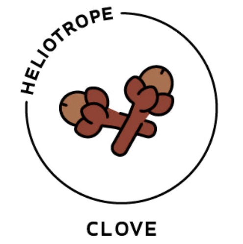 Essential Oil - Clove - 1/8 oz