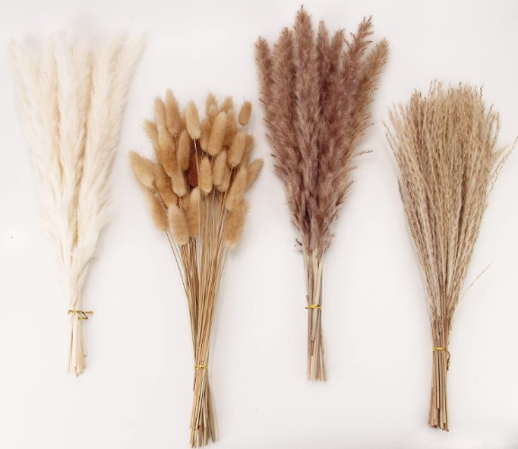 Dried Pampas Grass Decor, 100 PCS Pampas Grass Contains Bunny Tails Dried Flowers, Reed Grass Bouquet for Wedding Boho Flowers Home Table Decor, Rustic Farmhouse Party (White and Brown) - 100PCS