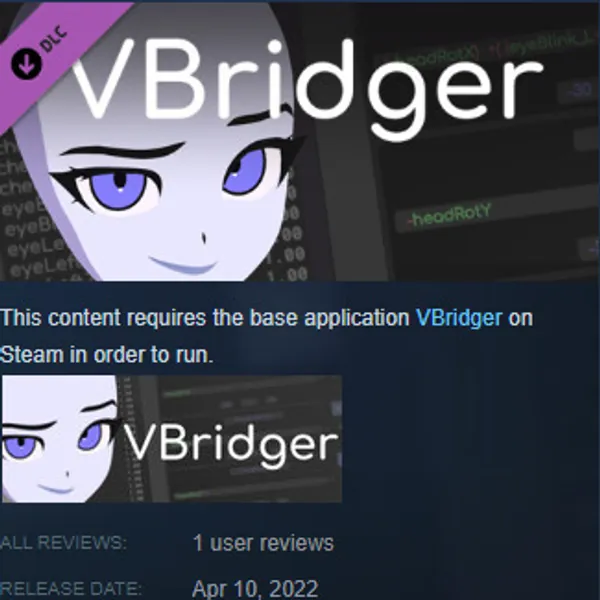 VBRIDGER EDITOR