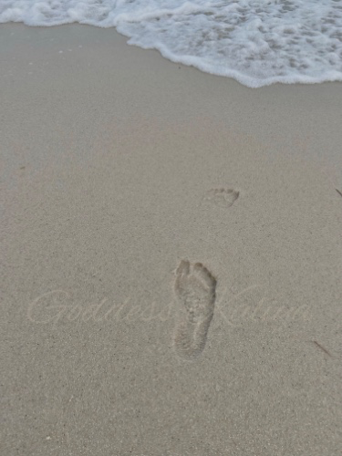 Jetset luggage 🌴💛🛩️💅🏾