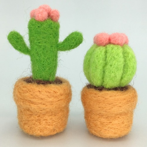 Truslin - DIY Needle Felting Succulents Kit Cactus Kit Great for Arts and Crafts Easy for Beginners, Make 2 Wool Pots and Succulents Kit, 2 in 1 Succulents Kit - Succulents-B