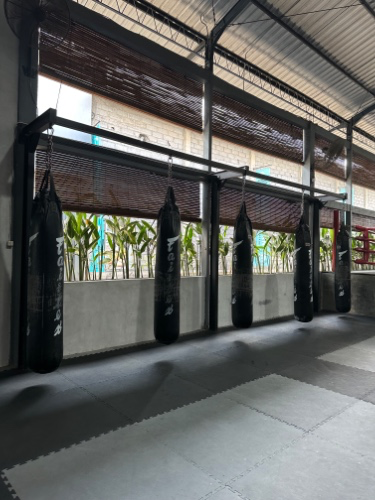 MMA Gym £75 / month