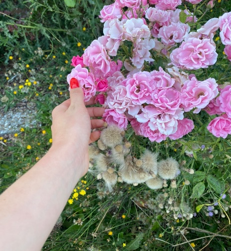 Manicure