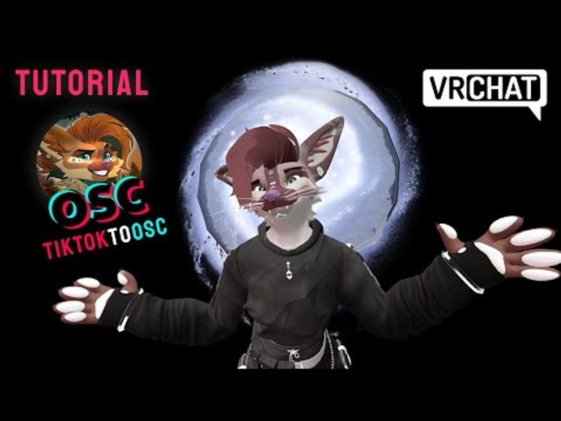 TikTok VRChat Interactions