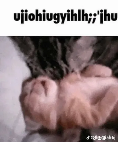 a donation would be awesome