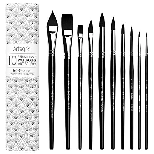ARTEGRIA Watercolor Brush Set - 10 Professional Watercolor Paint Brushes for Artists; Soft Synthetic Squirrel Hair - Including Pointed Rounds, Flats, Dagger, Oval Wash for Water Color, Gouache, Ink