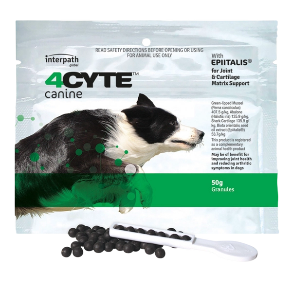 Canine Joint Support Supplement