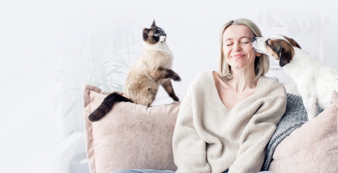 Basepaws Cat DNA Test | Breed, Health, Dental Diseases and Traits Reports