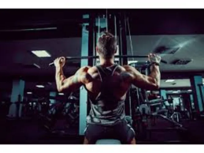 GYM + Fitness