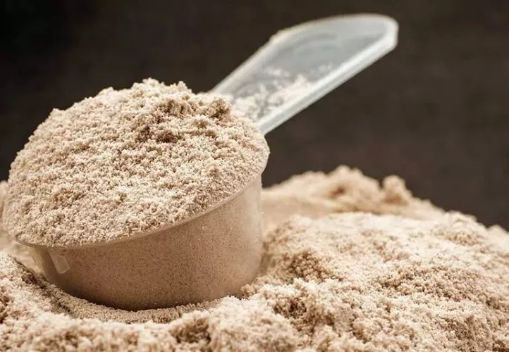 Protein