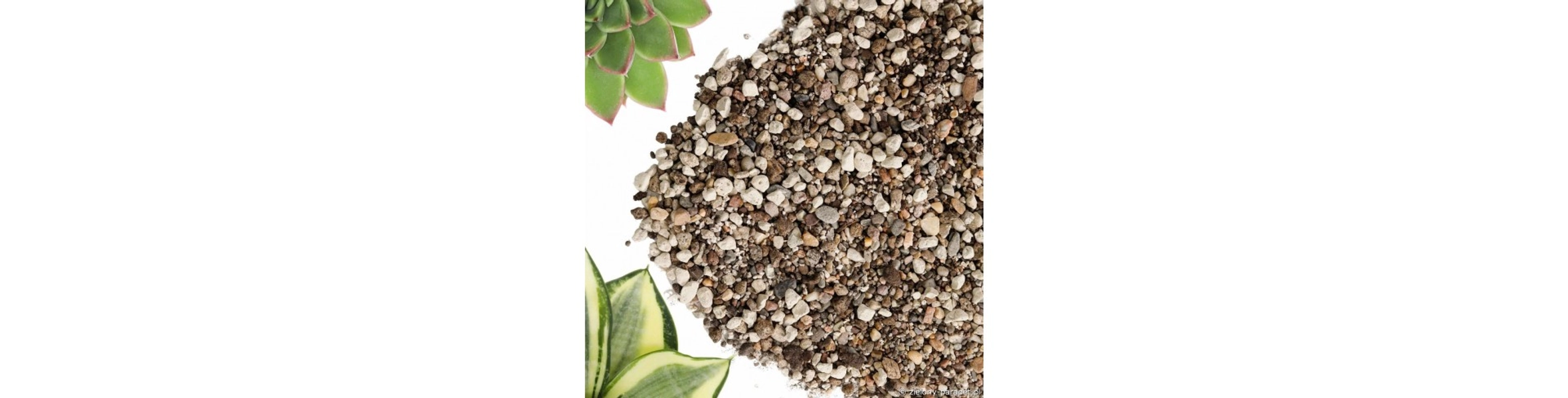 Podłoże dla kaktusów i sukulentów DOKTOR GRUNT| Zielony-Parapet