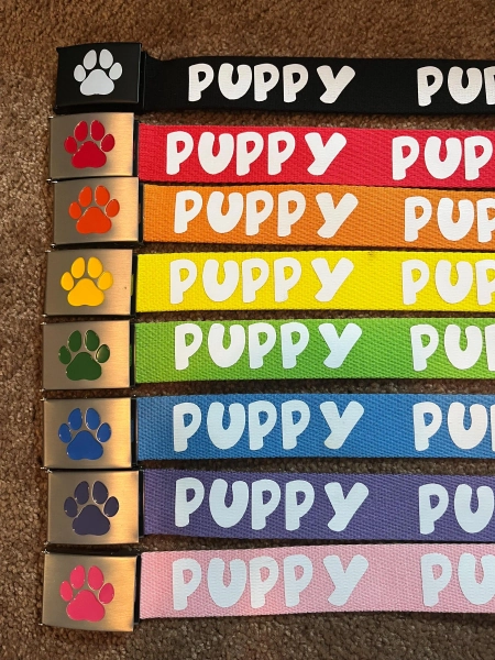Puppy Fashion Belt