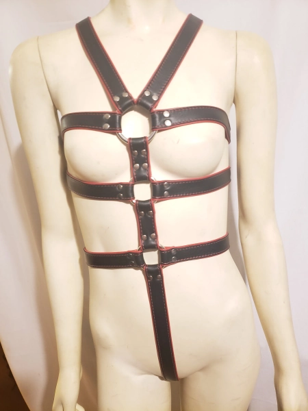 Locking Leather Outfit