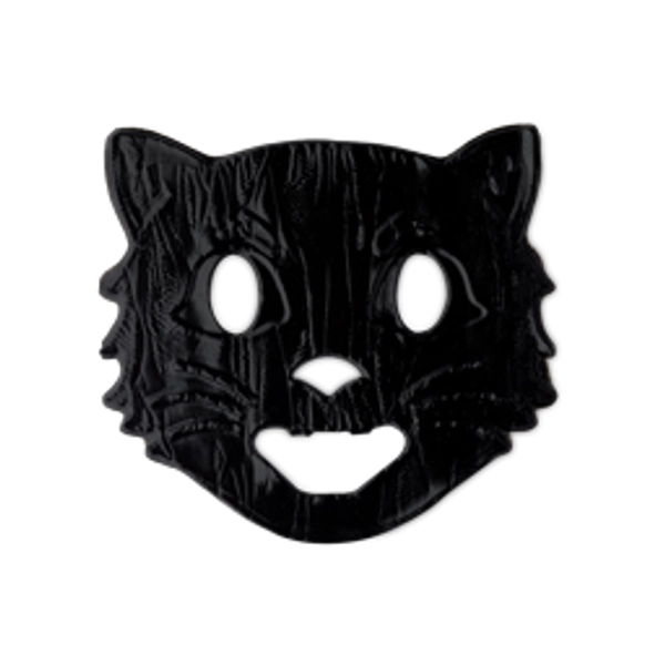 Witch's Cat