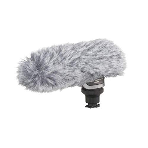 Canon DM-100 Directional Stereo Microphone