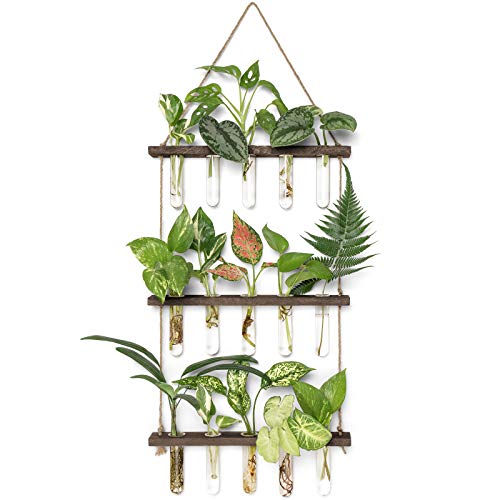 Mkono Plant Propagation Tubes, 3 Tiered Wall Hanging Terrarium with Wooden Stand Mini Test Tube Flower Vase Glass Planter Stations for Hydroponic Cutting Home Garden Office Decor Plant Lover Gift - Medium - Brown