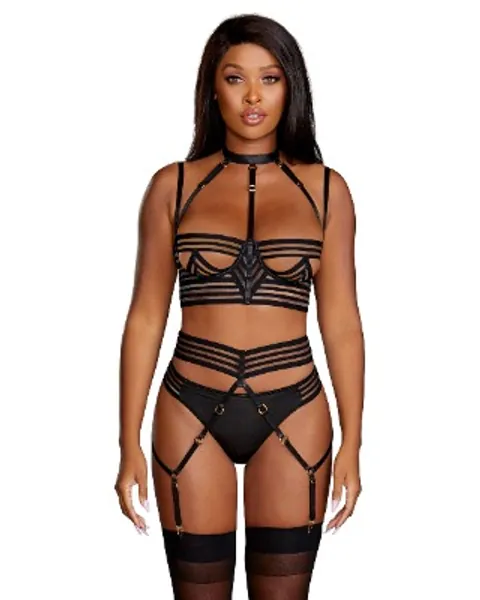 Dreamgirl womens Sheer Striped Elastic Strappy Underwire Bra & Garter Belt Set