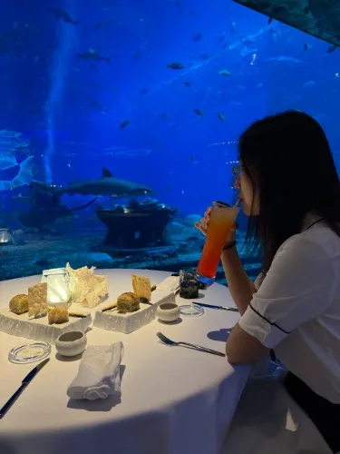 Dinner 🦈