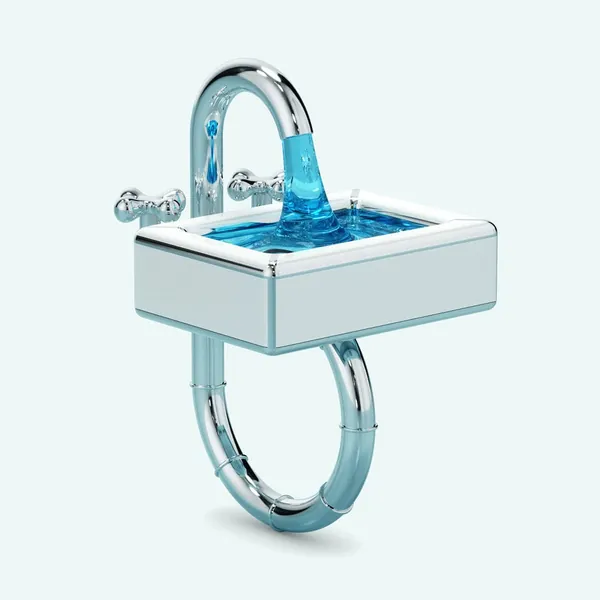 Sink Ring