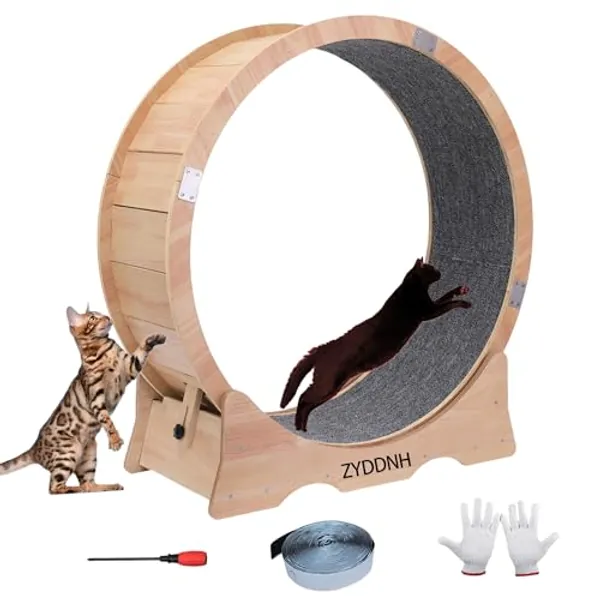 ZYDDNH Cat Wheel, Cat Treadmill,Cat Exercise Wheel, Cat Wheels for Indoor Cats Large，Cat Running Wheel ，Cat Wheel Eexerciser (Large)
