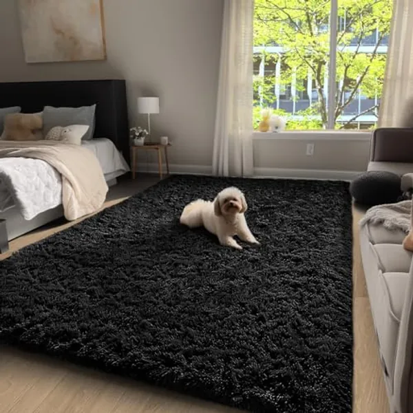 Ophanie Machine Washable Upgrade 4x6 Rugs for Bedroom, Black, Fluffy Shaggy Soft Area Rug, Non-Slip Indoor Floor Carpet for Living Room, Kids Boys Teen Dorm Home Decor Aesthetic, Nursery