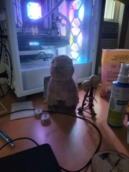 Capybara Plush