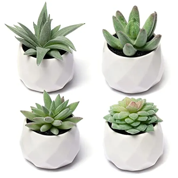 CADNLY Fake Succulent Plant Set - Artificial Succulent Plants for Desk Decor - Realistic Faux Succulents in Pots – Small Fake Plant for Shelf Decor – Green Plant Decor 4 Pack