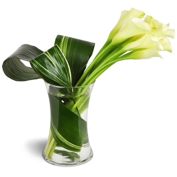 Classic Elegance Calla Vase™